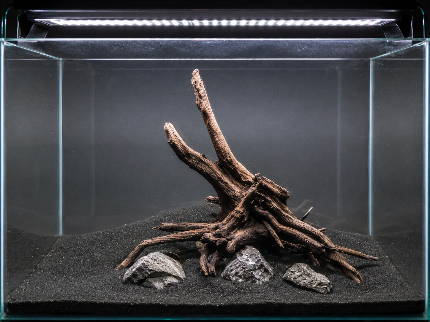 Hardscape placed into the tank
